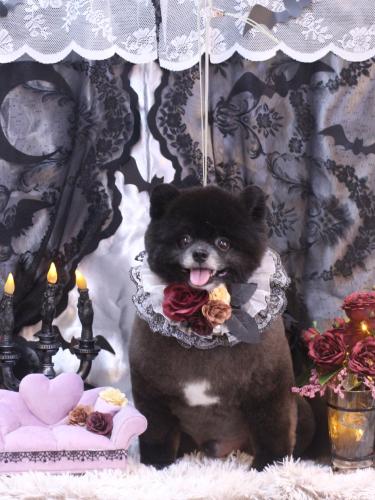 20231006れおくん